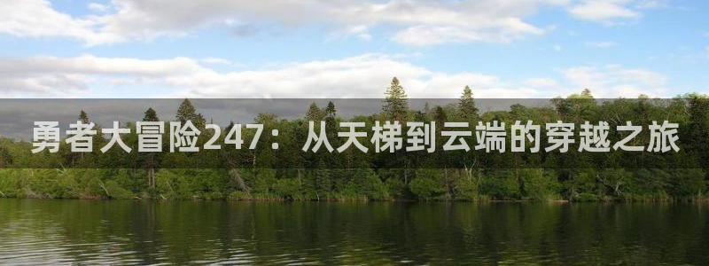 91动漫官网：勇者大冒险247：从天梯到云端的穿越之旅