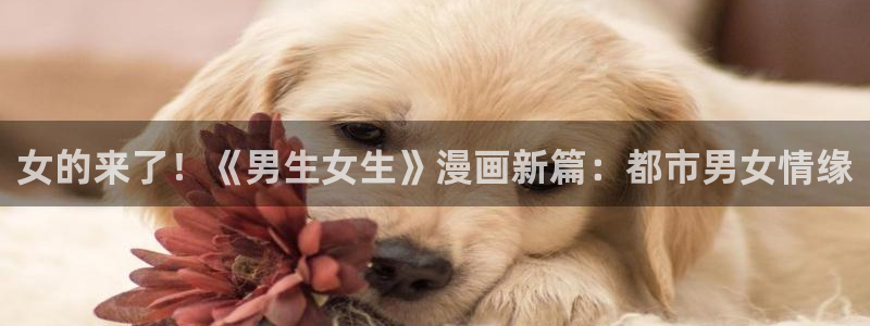 91思瑞女神：女的来了！《男生女生》漫画新篇：都市男女情缘