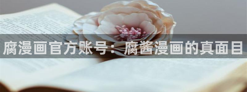 91漫画网：腐漫画官方账号：腐酱漫画的真面目